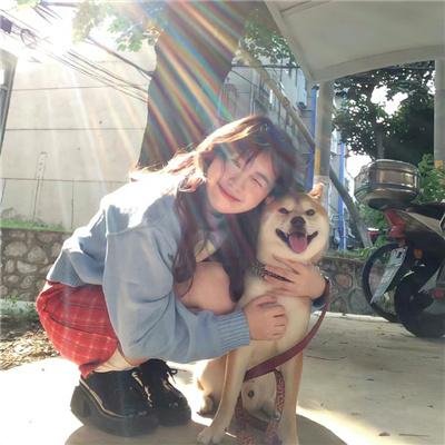 铁甲威虫之骑刃王
