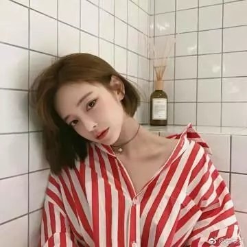 白痴5和哭喊的夫人