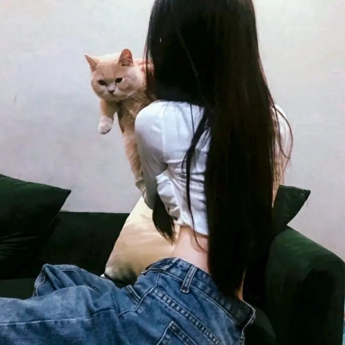 慈膳救援